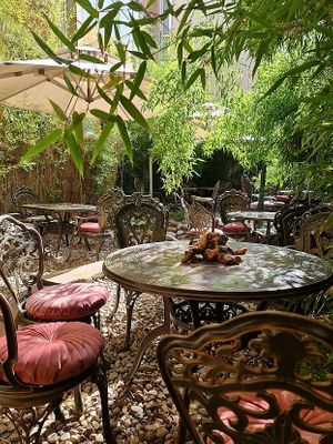 Vegetarian/vegan restaurant in the historic center of Sofia, with backyard bamboo hide-summer and winter away garden. 
 at DaOrganic restaurant in Sofia