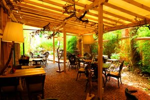  at DaOrganic restaurant in Sofia