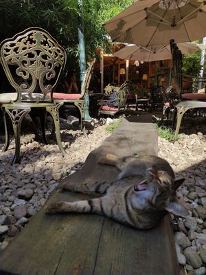  at DaOrganic restaurant in Sofia