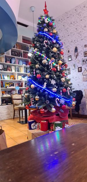  at Equilibrium Kaffee in Vienna