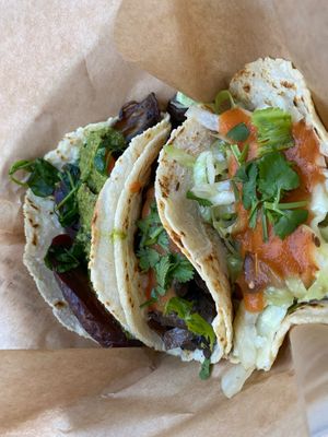 Taco Trio - 2 braised mushroom and 1 sautéed green cabbage.  at Chaia in Bethesda