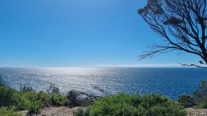  at Tathra Hotel in Tathra