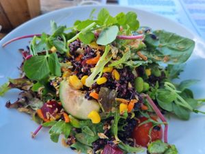 Nice rice salad at Tathra Hotel in Tathra