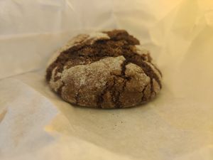 Vegan cookie! at Kometa's Coffee in Kursk