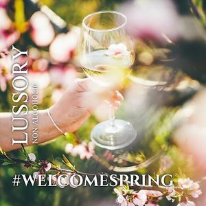  at Absolute Organic Wine in Draperstown