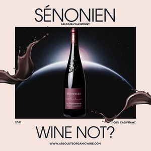  at Absolute Organic Wine in Draperstown