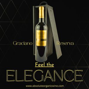  at Absolute Organic Wine in Draperstown