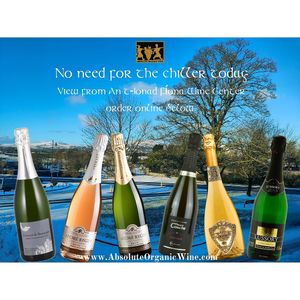  at Absolute Organic Wine in Draperstown