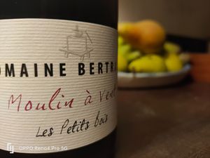  at Absolute Organic Wine in Draperstown