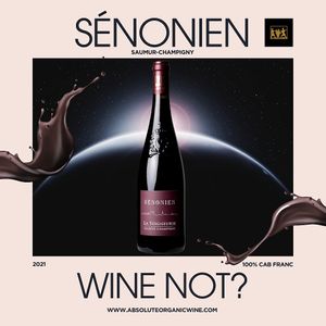 Organic & Vegan Red Wine at Absolute Organic Wine in Draperstown