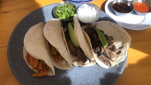 Yaka and mushroom tacos 🌮   at Tata Mia in Bucerias