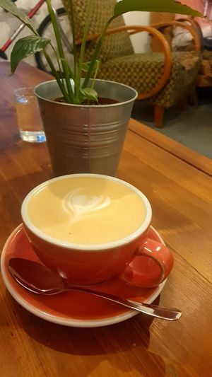 great coffee with oat milk at Coffee and Riot in Prague