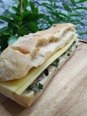 Fromage et micro-pousses (option végétarienne ou végan) at la Luciole in Lyon