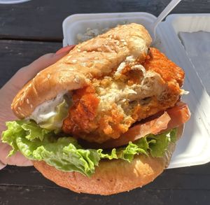 Buffalo   at The Mocking Bird in Beaverton