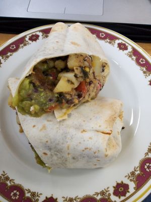 Burrito at Earthlings in Newcastle Upon Tyne