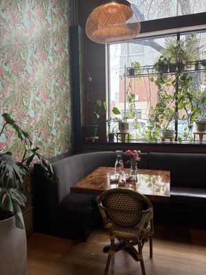   at ThaiPop in Rochester