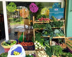  at Del Huerto in Cuernavaca