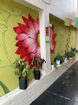 Entrada  at Gastronomía Vegana in Lima