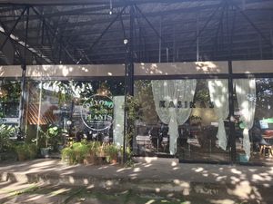  at Beyond Plants in Dumaguete