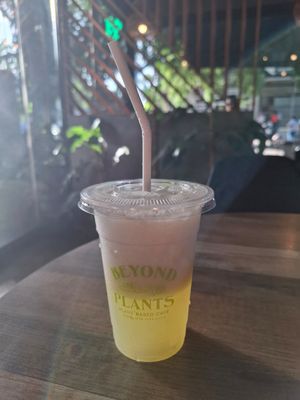 Pineapple coconut slash at Beyond Plants in Dumaguete