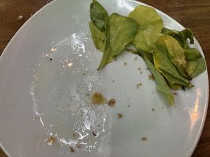 Sanguche with four ingredients, but one of them (arugula) was all yellow and not fresh  at Liberación Comida Vegana in Buenos Aires