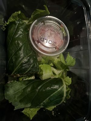 Walnut burrito  at Puree Juice Bar in Bethesda