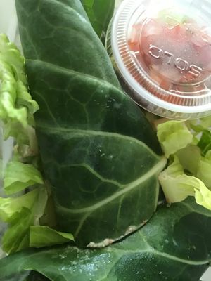 Collard green burrito at Puree Juice Bar in Bethesda