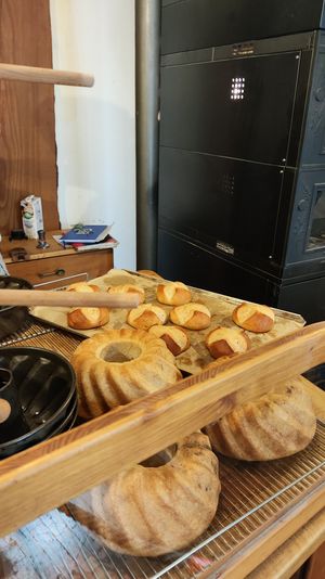  at Schwarzbrot OG in Vienna