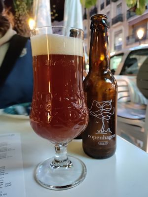 Copenhagen craft beer at Copenhagen in Valencia
