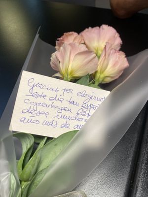   at Copenhagen in Valencia