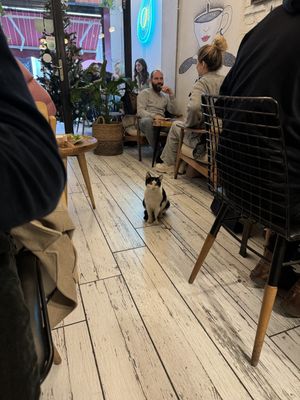   at Dükkan Galata in Istanbul