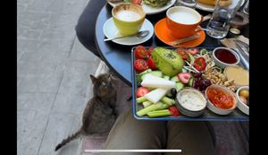 Vegan breakfast plate and friendly stray cat 🐱   at Dükkan Galata in Istanbul