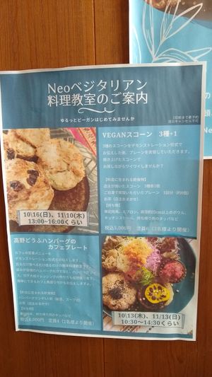 February 2023 at Neo Shalom in Beppu