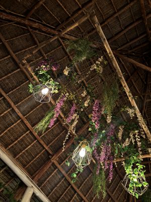   at Badolina in Zanzibar