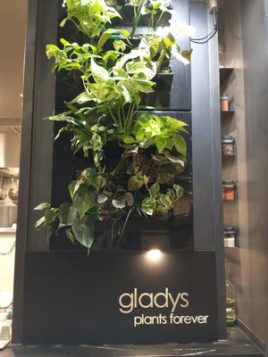 Plants Forever! at Gladys  in Edgewater