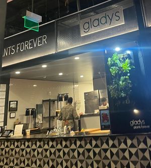 Counter  at Gladys  in Edgewater