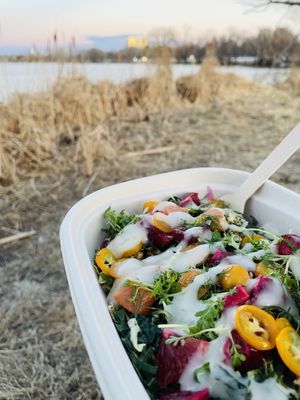 Citrus Saladd  at Gladys  in Edgewater