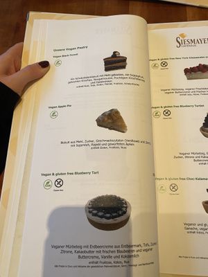 vegan and partly gluten free cake options at Caféhaus Siesmayer in Frankfurt
