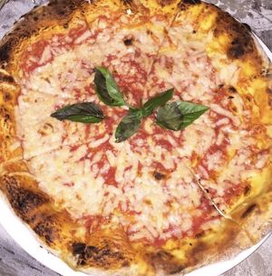   at Casa Sofia in Playa Del Carmen