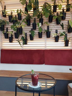 Plant wall + homemade iced tea (black tea & cassis, 4.10€) at Café Lux in Leipzig
