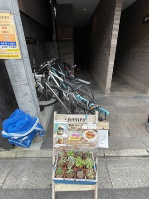 Entrance area  at Vegginy in Kyoto