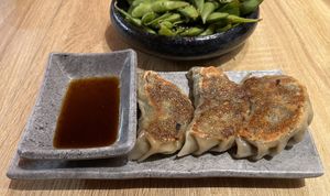 Very delicious vegan dumplings with edamame in the background.  at Gaijin Ramen in Aarhus