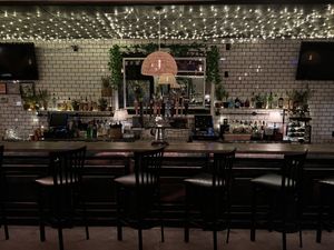 Bar at Bar Vegan in Albany