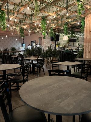 Dining  at Bar Vegan in Albany