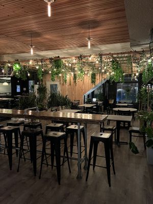 Dining  at Bar Vegan in Albany