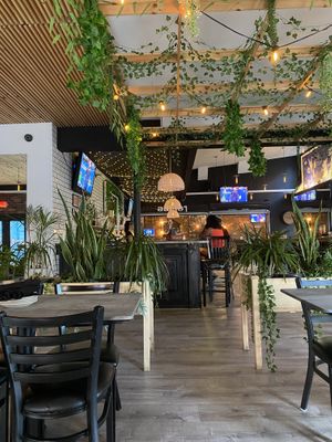   at Bar Vegan in Albany