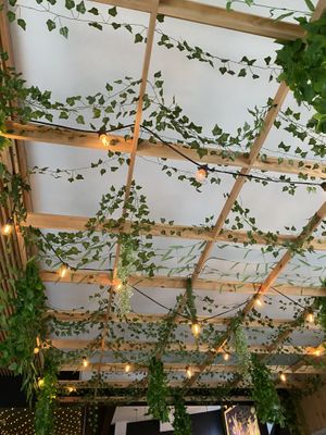   at Bar Vegan in Albany