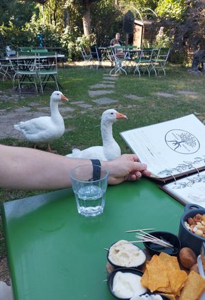  at Boscafé Merlijn Gaststätte in Kranenburg