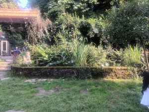 Garden at Boscafé Merlijn Gaststätte in Kranenburg