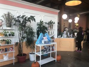 Inside  at Mis Tacones in Portland